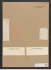 Diatomeae indet. Zeichnungen Sammlung Grunow Nr. 4570 (NHMW-BOT-W0372529)